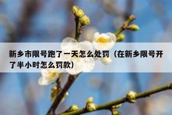 新乡市限号跑了一天怎么处罚（在新乡限号开了半小时怎么罚款） 第1张