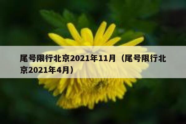 尾号限行北京2021年11月（尾号限行北京2021年4月） 第1张