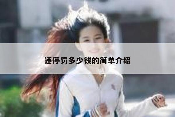 违停罚多少钱的简单介绍 第1张