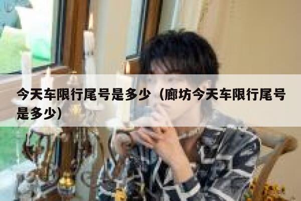 今天车限行尾号是多少（廊坊今天车限行尾号是多少） 第1张