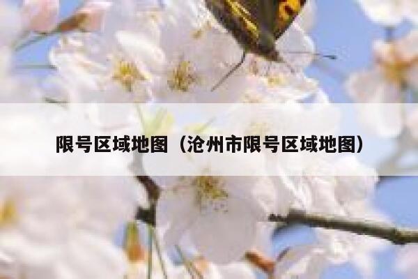 限号区域地图（沧州市限号区域地图） 第1张