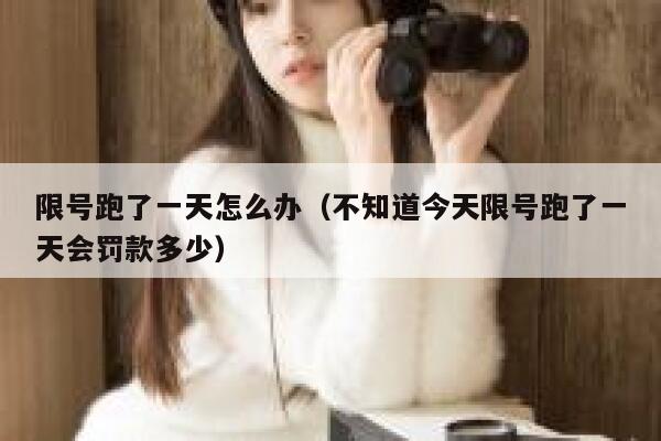 限号跑了一天怎么办（不知道今天限号跑了一天会罚款多少） 第1张