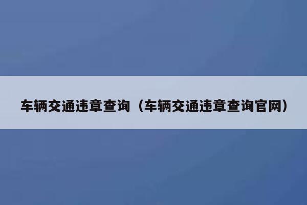 车辆交通违章查询（车辆交通违章查询官网） 第1张