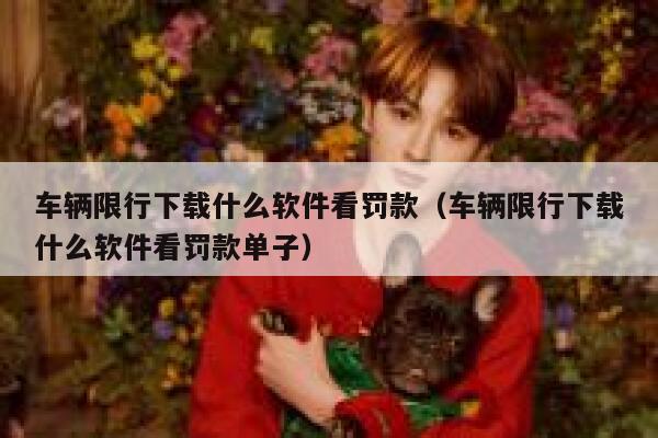 车辆限行下载什么软件看罚款（车辆限行下载什么软件看罚款单子） 第1张