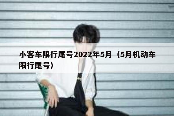 小客车限行尾号2022年5月（5月机动车限行尾号） 第1张