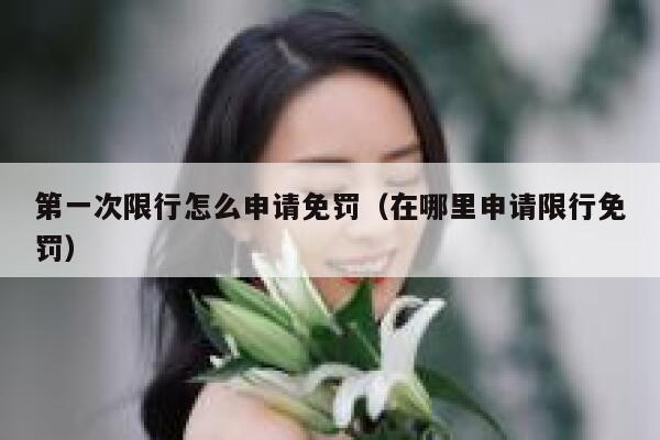 第一次限行怎么申请免罚（在哪里申请限行免罚） 第1张