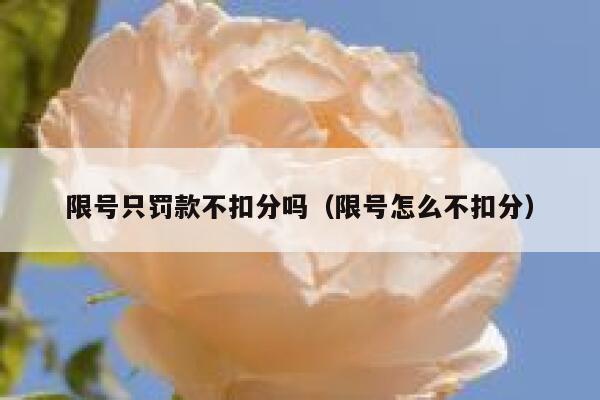 限号只罚款不扣分吗（限号怎么不扣分） 第1张