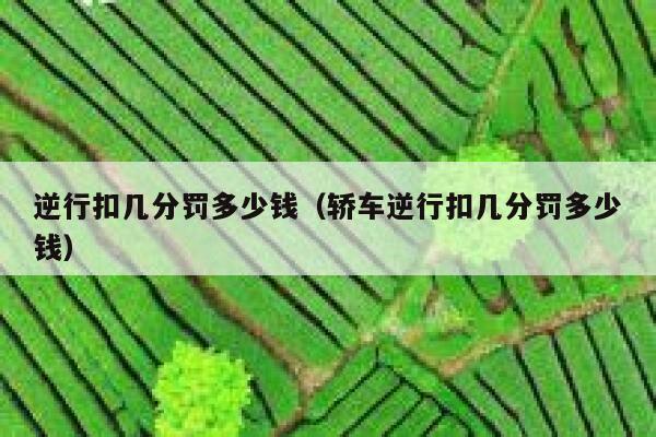 逆行扣几分罚多少钱（轿车逆行扣几分罚多少钱） 第1张