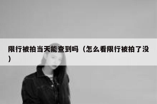 限行被拍当天能查到吗（怎么看限行被拍了没） 第1张