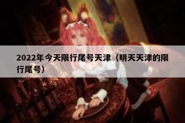 2022年今天限行尾号天津（明天天津的限行尾号） 第1张