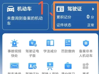 驾驶员信息查询_快速查人车档案
