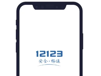 大庆市交通违章查询_快速查违章处理流程全攻略