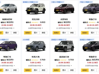 国产SUV销量排行榜_2025年最受欢迎的自主品牌车型盘点