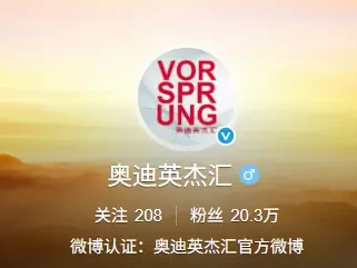 奥迪英杰汇是什么