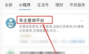 车牌号查询车主姓名系统_12123平台查询方法详解