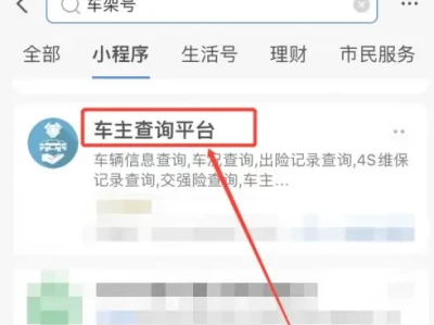 车牌号查询车主姓名系统_12123平台查询方法详解