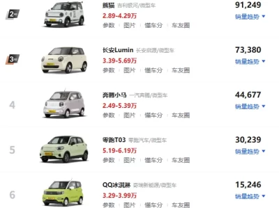 微型车质量排行榜_2025最热门的微型车排行榜