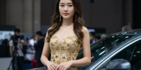 上海车牌价格现象分析_沪牌竞拍价格为何居高不下