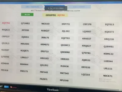 选号牌的新手步骤和技巧注意事项