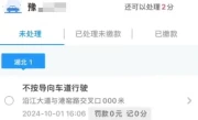 汽车违章什么时候能查到_违章记录查询时间全解析