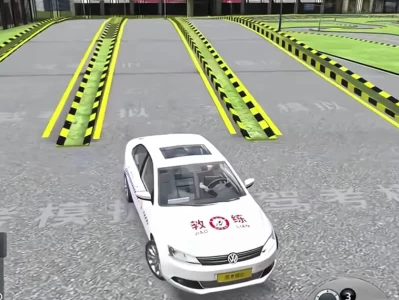 驾驶执照模拟考试_驾考理论练习必备技巧全解析