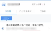 驾驶执照查询_如何快速查驾照