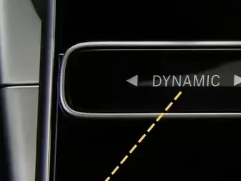 dynamic是什么意思_动态概念解析与应用场景