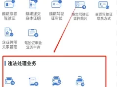 江门交通违章查询_如何查询江门交通违章罚款扣分