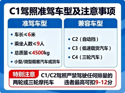 2025权威指南：C1、C2驾照究竟能开什么车？一文看懂准驾车型与避坑指南