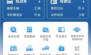 交管12123违章查询_在线快速查询交通违章记录