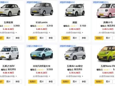 口碑最好的纯电动汽车_小型电动车口碑排行榜