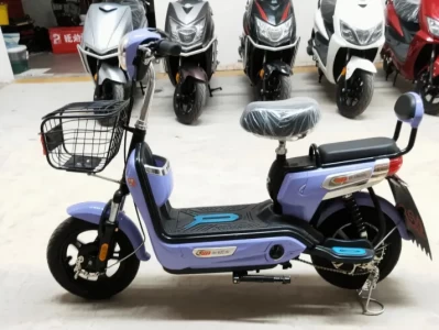 我国将全面淘汰电动车_新能源替代方案正式出台