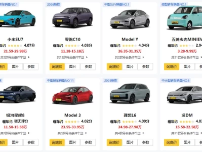 新能源汽车纯电动排名_2025最新十强车型权威榜单