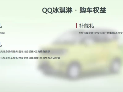 2026开年购车必读：26款QQ冰淇淋上市与几何E萤火虫权益大比拼（附最新购置税解读）