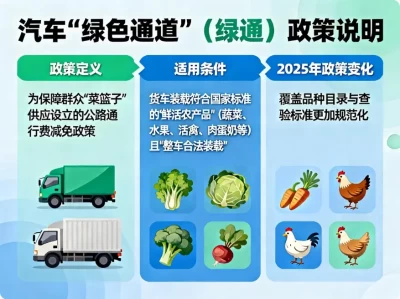 2025深度解析：汽车“绿色通道”究竟是什么意思？