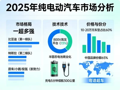 2025年纯电动汽车排名：技术革命重塑行业格局