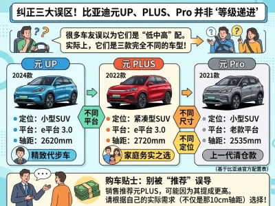 比亚迪元系列：10万级纯电SUV的"隐藏王者"，还是"品牌税"陷阱？