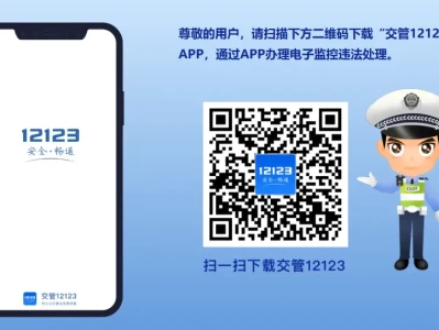 南阳车辆违章查询_官方违章记录查询入口