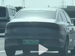 鲁b车牌归属地_山东青岛车牌代码详解