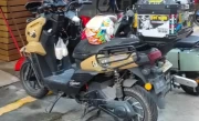 新蕾坦克300电动车_新款电摩性能全面升级