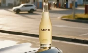 乙醇汽油使用政策_河北省最新环保燃油规定解读