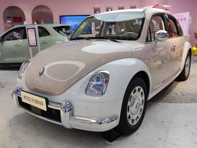 欧拉汽车：一场关于“爱”的商业豪赌，你看到的宠爱只是冰山一角