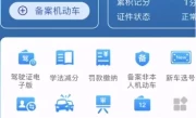 输入牌照号查违章_快速查询车辆违章记录方法