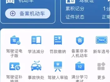 输入牌照号查违章_快速查询车辆违章记录方法