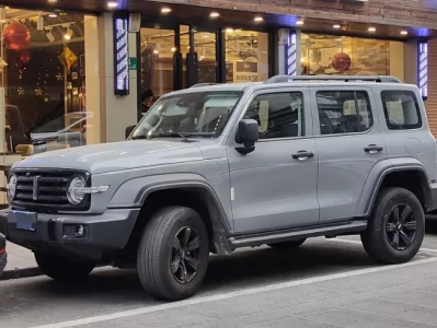 国产越野汽车排行榜_谁是你的"诗和远方"硬核搭子