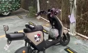 电动车充电多久充满_60v电池充电时间全解析