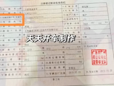 机动车登记证书编号_绿本上这个关键号码在哪找