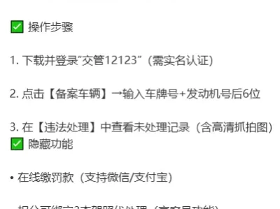 大庆交通违章查询_违章处理指南