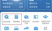 汽车违章什么时候处理_车辆违章处理最佳时间解析