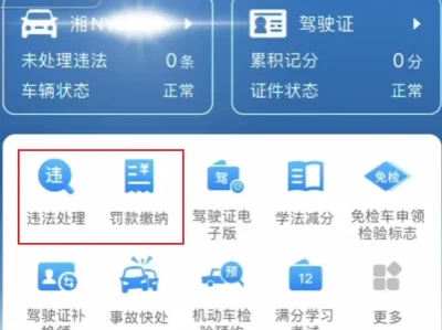 汽车违章什么时候处理_车辆违章处理最佳时间解析